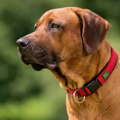 Hunter Halsung Neopren Vario Plus 45-50 cm 20m