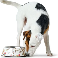 Melamin-Napf Mogami we/multicolor 700ml*Hunter Discount