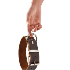 Halsband Aalborg Special dunkelbraun Größe M*Hunter