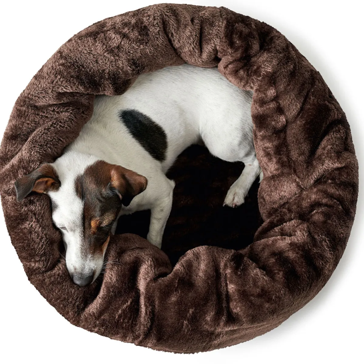 Hunde- und Katzenschlafplatz Livingston beige 45 x 45 x 50 cm^Hunter Sale