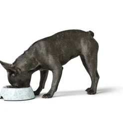 Melamin-Napf Blies weiß-grün 350 ml*Hunter Discount