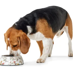 Hunter Melamin-Napf Mogami mehrfarbig 350 ml