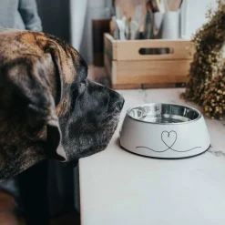 Melamin-Napf Valencia weiß 700 ml^Hunter Sale