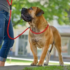 Retriever-Leine Freestyle rot 210 x 1 cm^Hunter New