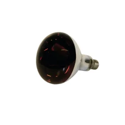 Infrarotlampe 250 Watt Hartglas rot^ Best