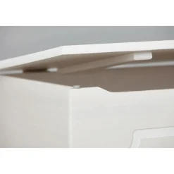 Massivholztruhe „Emel“, weiß lackiert, 89x53x47 cm*Inter Link Clearance