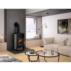 Justus Kaminofen Texas