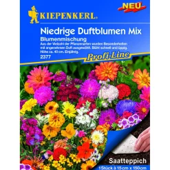 Kiepenkerl Blumenmischung Niedrige Duftblumen Saatteppich