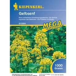 Gelbsenf 1 kg^Kiepenkerl Outlet