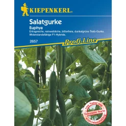 Gurke Euphya*Kiepenkerl Discount