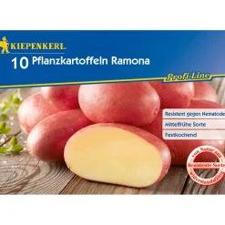 Kiepenkerl Pflanzkartoffeln Romana 10 Stück