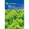 Salat Australischer gelber*Kiepenkerl Outlet