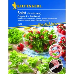 Salat Crispita II*Kiepenkerl Hot