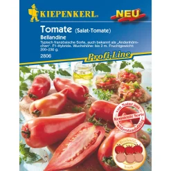 Kiepenkerl Salat-Tomate Bellandine