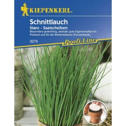Kiepenkerl Schnittlauch Staro - Saatscheiben