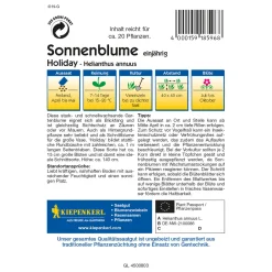 Sonnenblume Holiday^Kiepenkerl