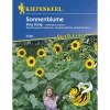 Sonnenblume King Kong*Kiepenkerl Online