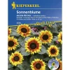 Sonnenblume Merida Bicolor*Kiepenkerl Discount