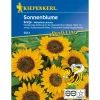 Sonnenblume Sonja^Kiepenkerl New