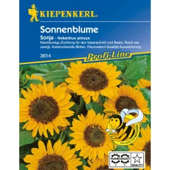 Sonnenblume Sonja^Kiepenkerl New