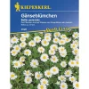 Wiesen-Gänseblümchen Profi-Line*Kiepenkerl Best