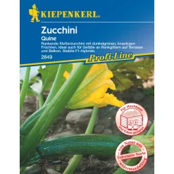 Zucchini Quine*Kiepenkerl Best