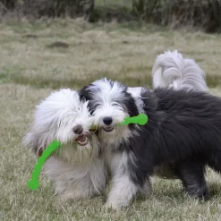 KONG Hundespielzeug Safestix 29 cm^ Clearance