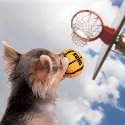 KONG Hundespielzeug Sport Balls farblich sortiert Durchmesser 4 cm 3 Stück* Discount