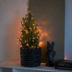 Micro LED Bueschellicherkette Cluster schwarz 30V Innentrafo 200 bernsteinfarbene Dioden^Konstsmide Hot