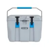 Lifetime Kühlbox Premium 26,5 L 37x59,1x41,4cm Grau