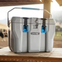 Lifetime Kühlbox Premium 26,5 L 37x59,1x41,4cm Grau