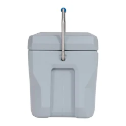 Lifetime Kühlbox Premium 26,5 L 37x59,1x41,4cm Grau