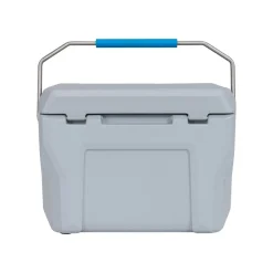Lifetime Kühlbox Premium 26,5 L 37x59,1x41,4cm Grau