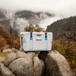 Kühlbox Premium 73 L 47x76x47cm Grau^Lifetime New