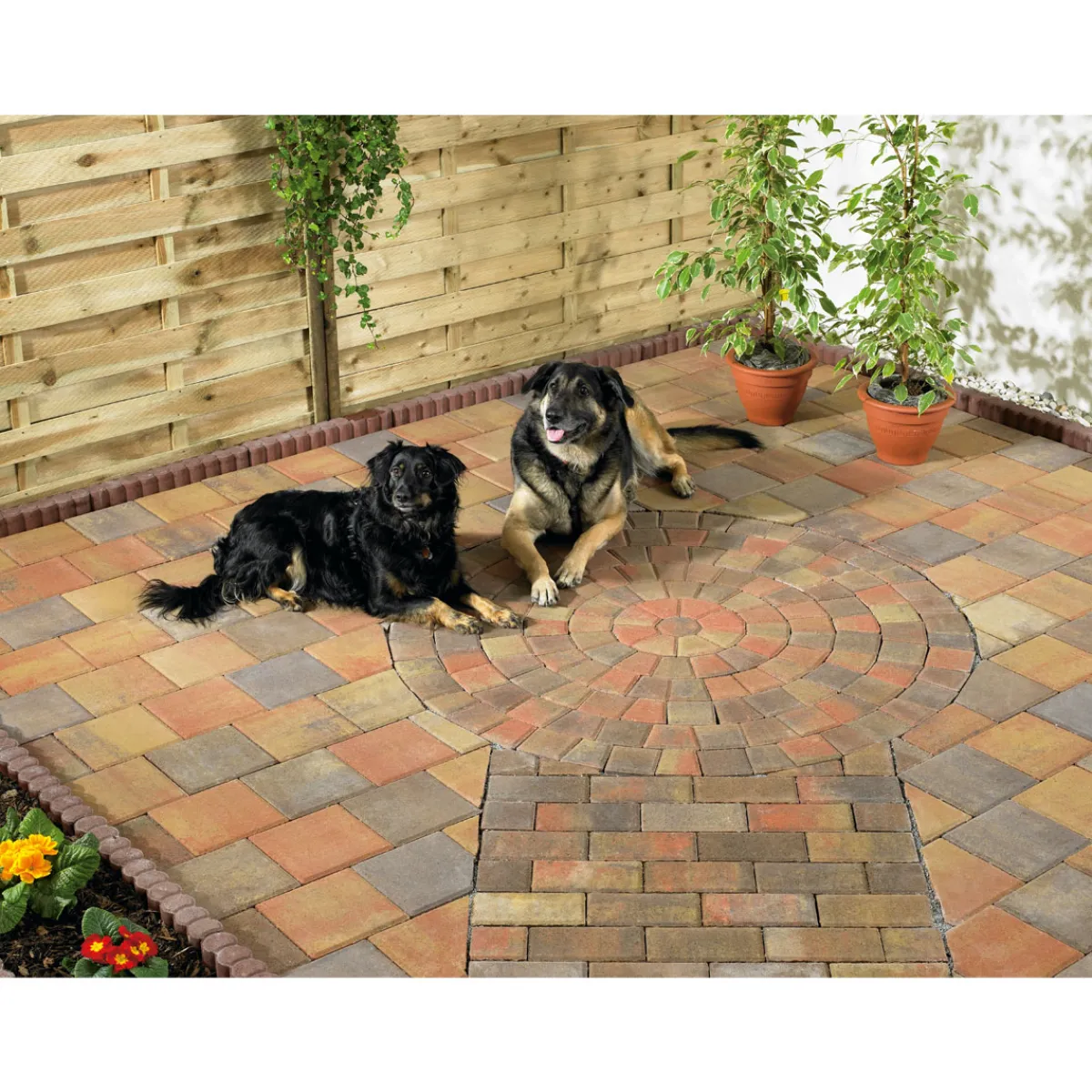 Lusit Pflastersteine 20 x 10 cm weinlaub