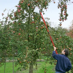 Meister Obstpflücker mit Teleskopstiel