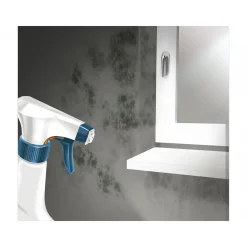 Schimmelentferner 500 ml*MEM