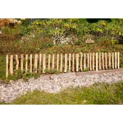 Mini-Haselnuss-Beetgrenze 200x28cm^ Best