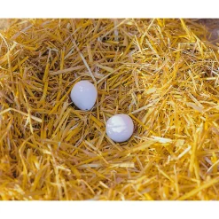 Nesteier aus Ton für Hühner 2 Stk.