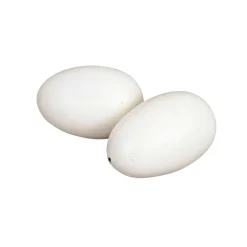 Nesteier weiß 2 Stück* Online