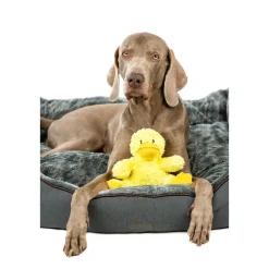 Pluesch Ente Daggi 18 cm^Nobby Clearance