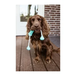 Nobby Vollgummi Stick mit Seil DENTAL LINE zweifarbig 37 x 9 cm