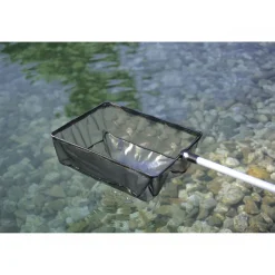 Algenkescher^Oase Hot