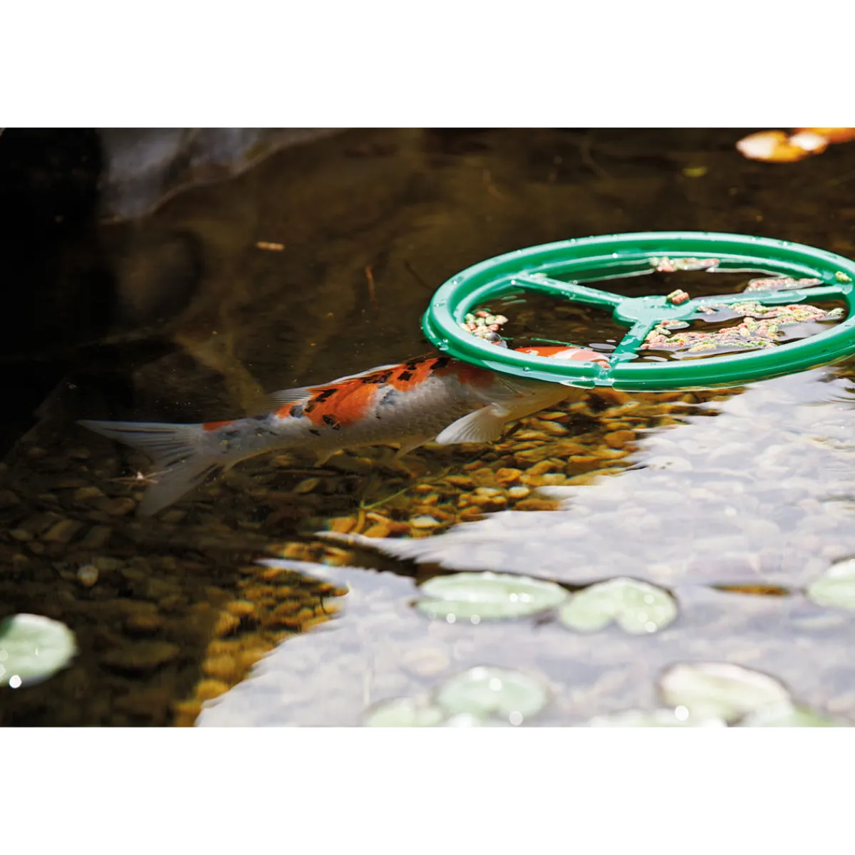 Pontec Fütterungsring PondoFeed Ring^Oase