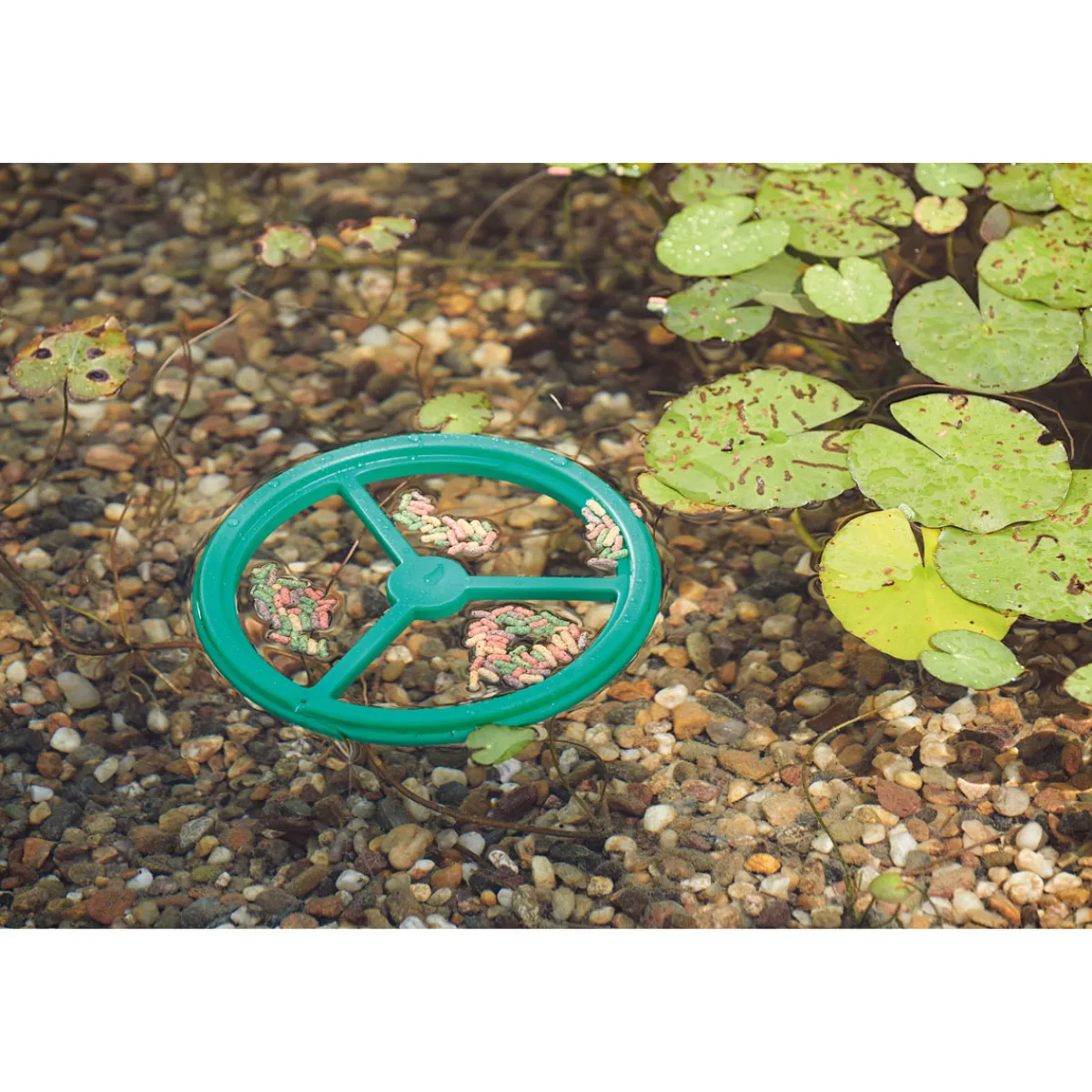 Pontec Fütterungsring PondoFeed Ring^Oase