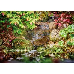 Pontec PondoMax Eco 8500 C^Oase Hot