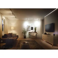 Paulmann Schalt-Controller Cephei 1000 Watt weiß-grau