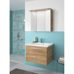 LED-Spiegelschrank Trentino inkl Leuchtmittel 75 x 72 x 20 cm*Pelipal Online