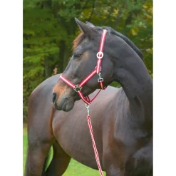 Pferdehalfter Hippo bordeaux-beige Vollblut