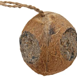 Kokosnuss mit 3 Löchern*Pfiffikus Discount